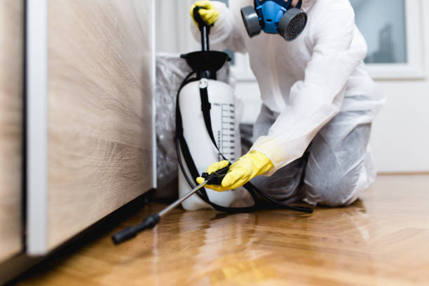 Best Exterminator Services  in Pinetop Lakeside, AZ